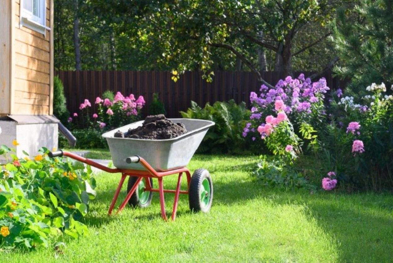 Landscapingsoto-dallas-Lawn-and-garden-care-1.jpg